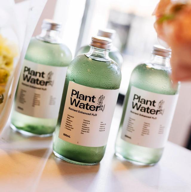 PlantWater: Meet The Buzzy New Beverage Taking The Wellness World By Storm
